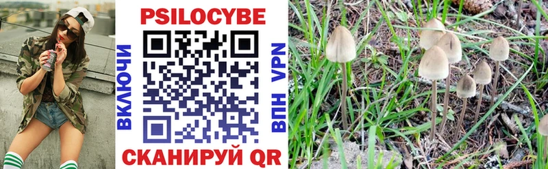 купить наркоту Инза Псилоцибиновые грибы Psilocybine cubensis