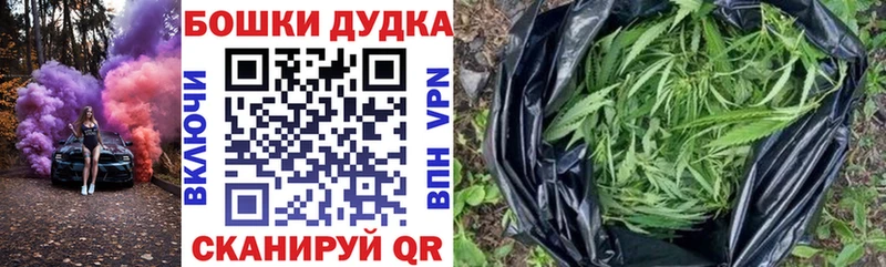 Шишки марихуана семена  Инза 